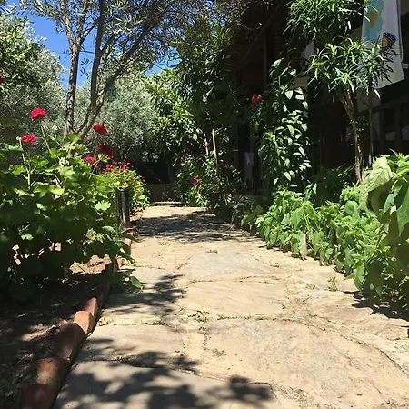 Umut & Beach Selimiye בית הארחה