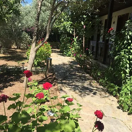 Umut & Beach Selimiye בית הארחה *