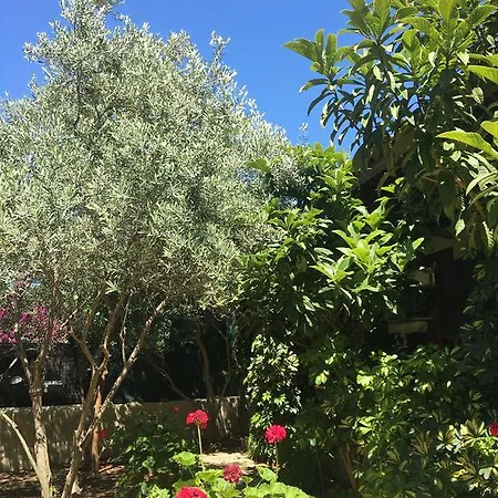 Umut & Beach Selimiye 招待所